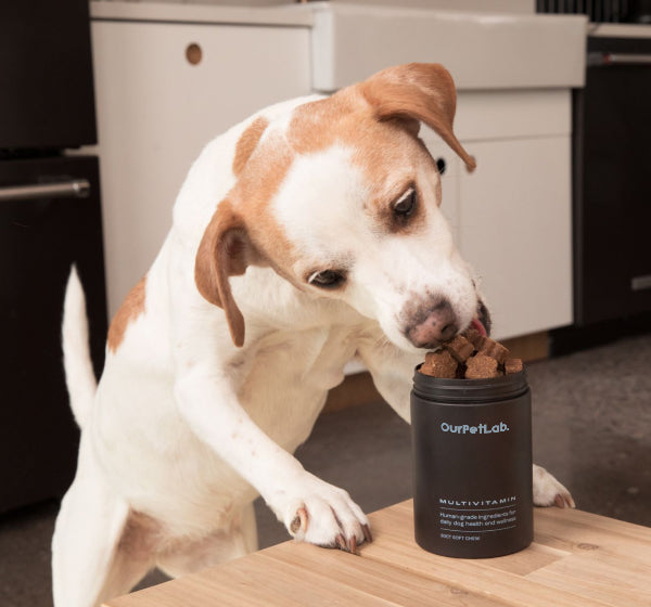 Five Core Benefits for