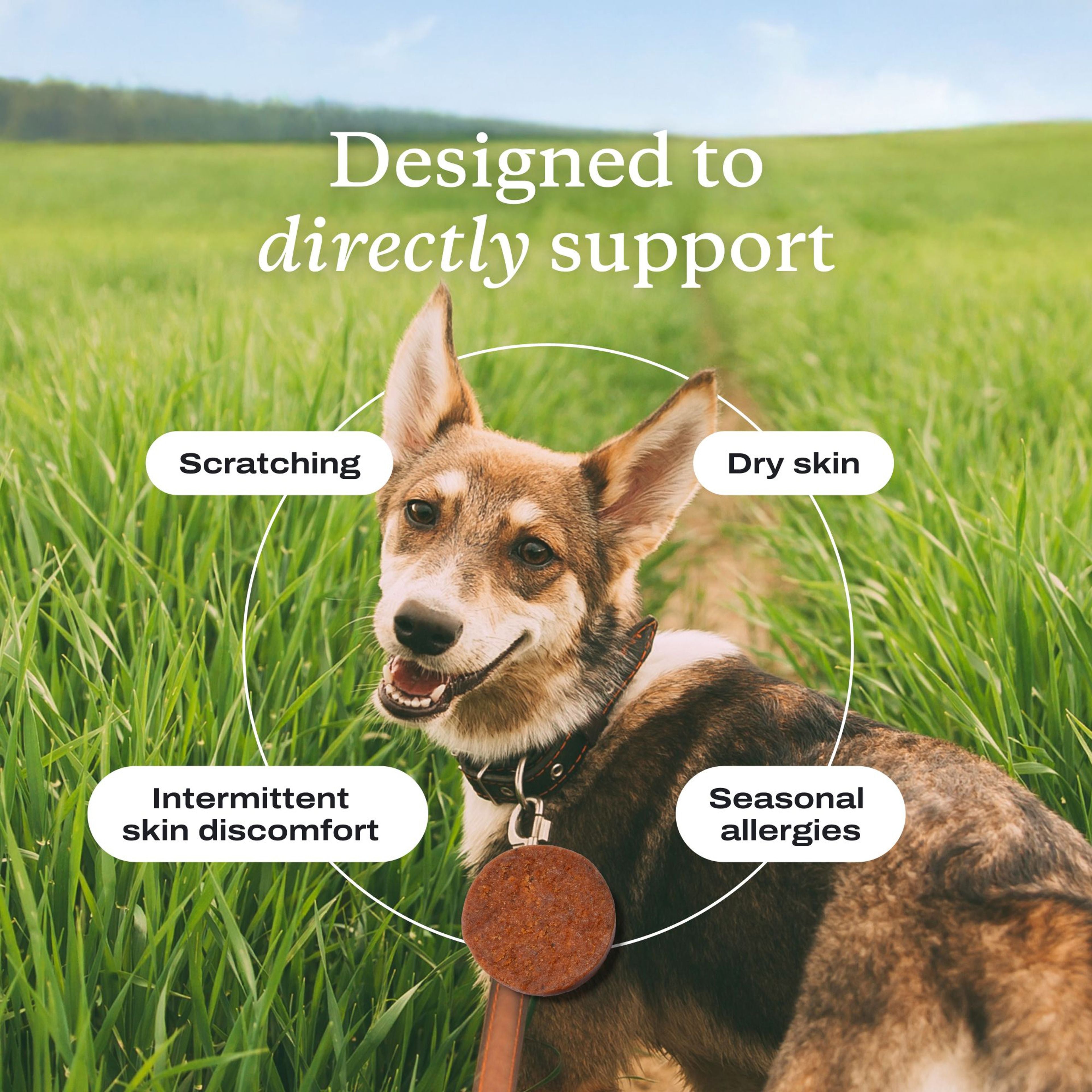 Itch Relief Pro for Dogs - Soft Chews