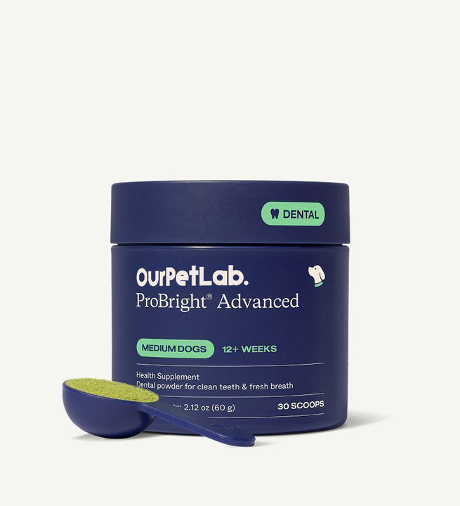 ProBright® Advanced Dog Dental Powder